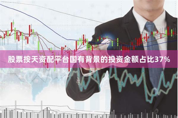 股票按天资配平台国有背景的投资金额占比37%