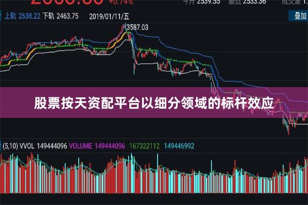 股票按天资配平台以细分领域的标杆效应